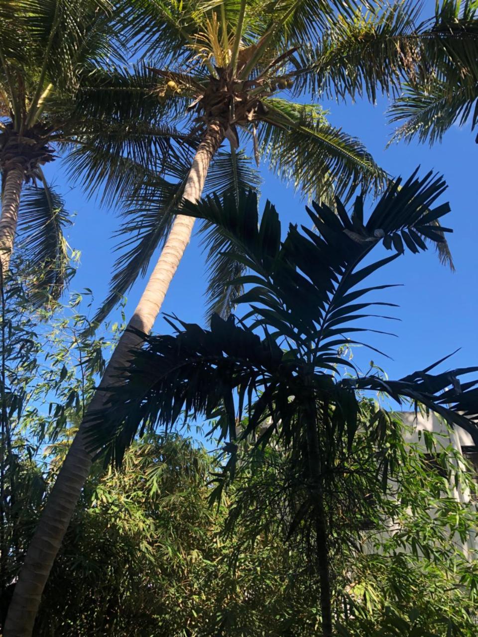 Villa Florencia Bavaro Punta Cana Exterior foto